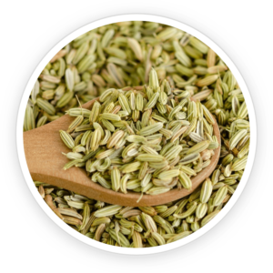 Fennel Seed