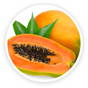 Papaya Seed Extract